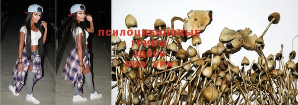 синтетический гашиш Баксан