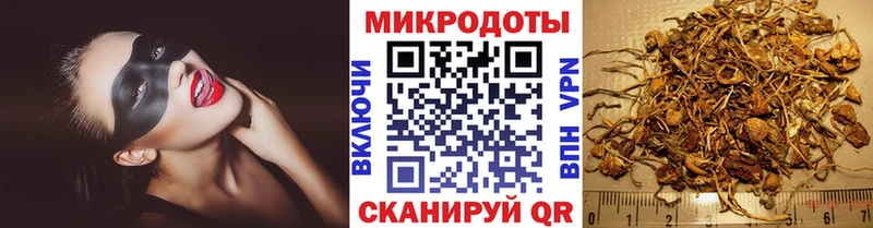 Галлюциногенные грибы Psilocybe Ясногорск